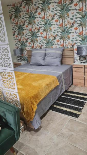Chez Karine - Appartement